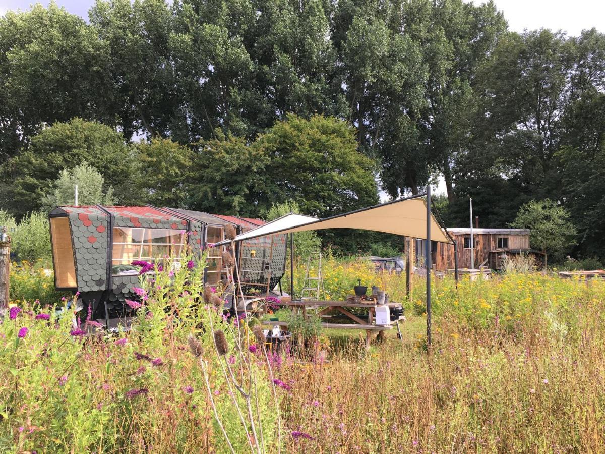 Amsterdam Farm Lodge Kültér fotó