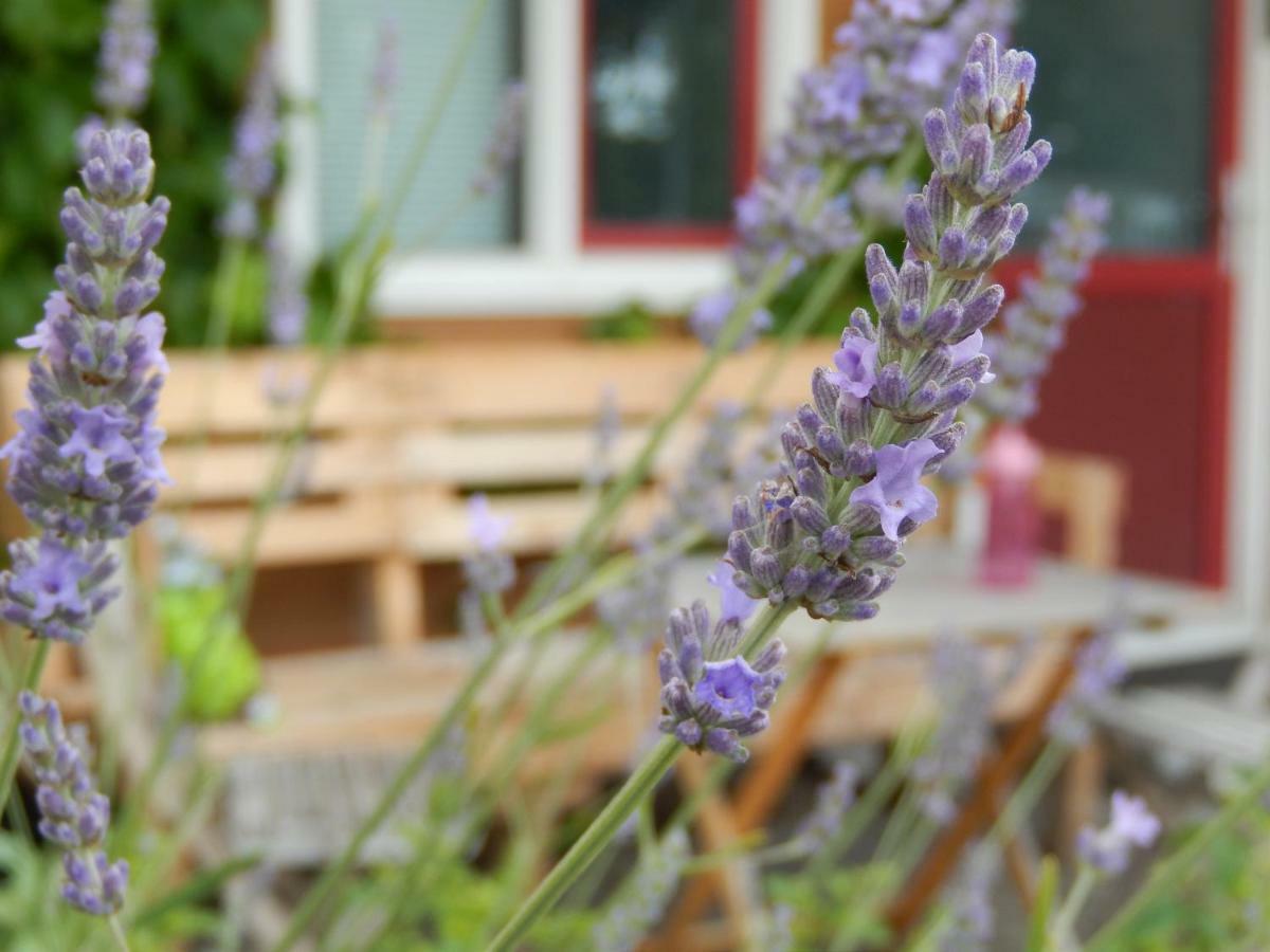 Amsterdam Farm Lodge Kültér fotó